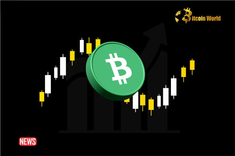 Price Analysis: Does Bitcoin Cash (BCH) Risk Dropping Below $230