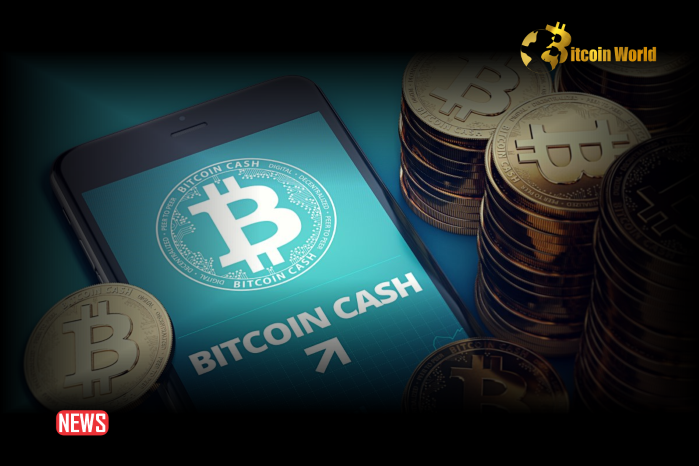 Bitcoin Cash Price Slides 5% on Escalating Mt. Gox Creditors Kraken Withdrawals
