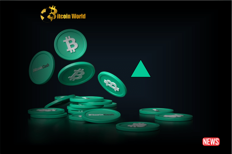 bitcoin cash surg
