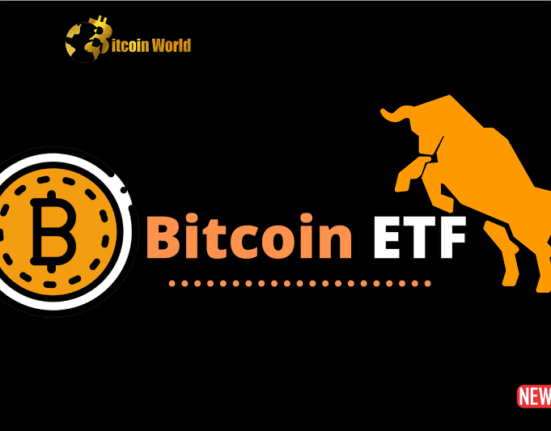 bitcoin etf bullish