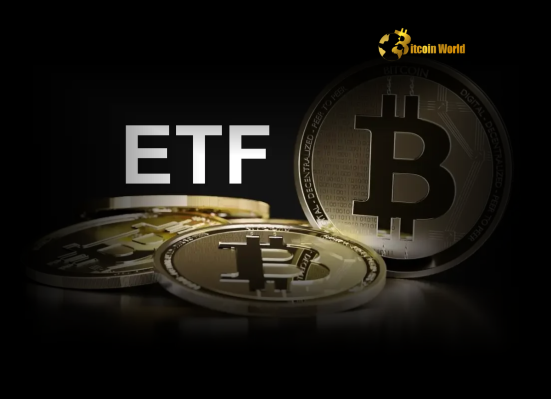 Bitcoin ETF Outflows Plunge: U.S. Spot Funds See Shocking $614M Exodus
