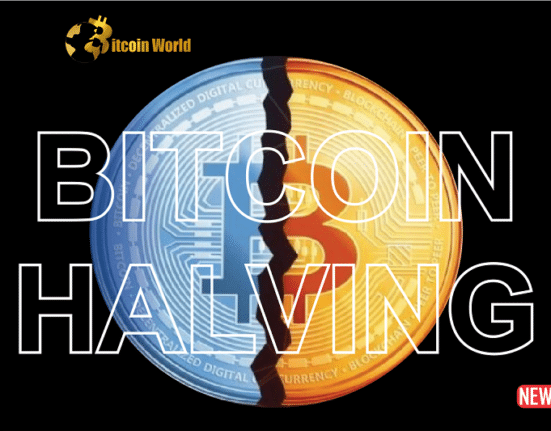bitcoin halving