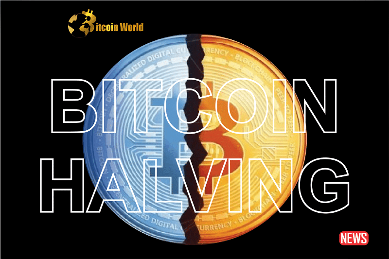 bitcoin halving