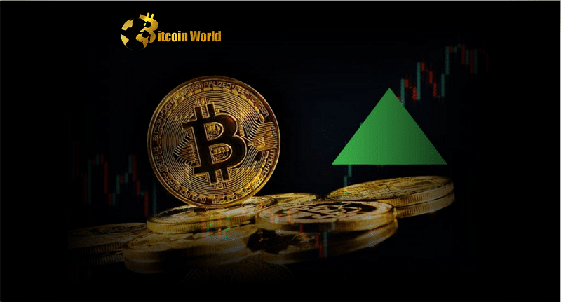 bitcoin hits