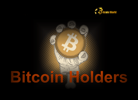 Bitcoin Holders Unleash Strategic Buying During Market Dip