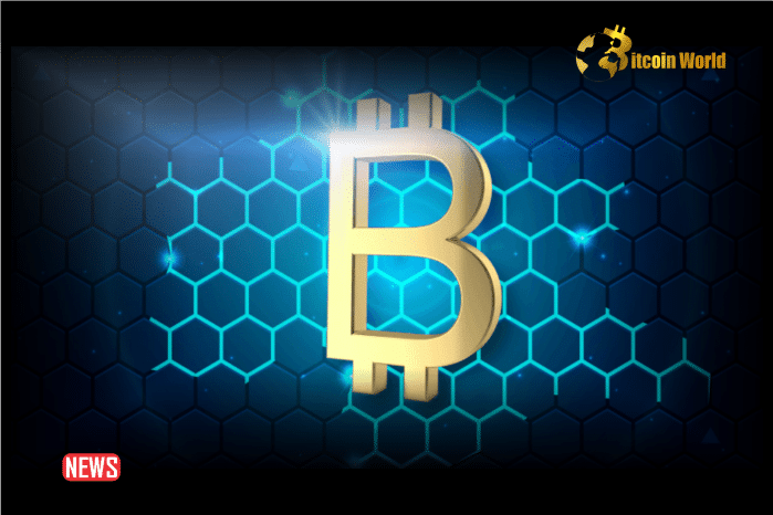 Bitcoin Layer-2 Network Stacks Witnesses Surge in Active Users
