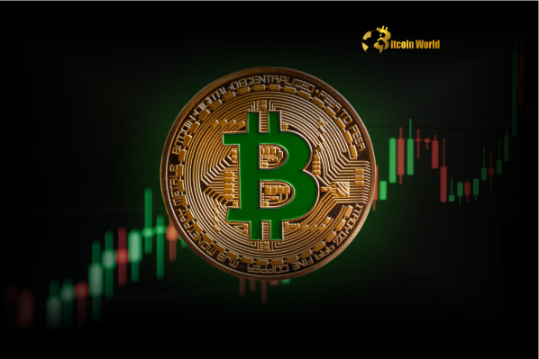 Bitcoin Long-Term Holders Signal Unwavering Confidence as Supply Hits Record Peak