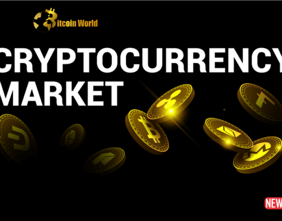 bitcoin market an