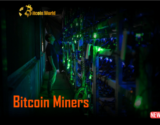 bitcoin miners