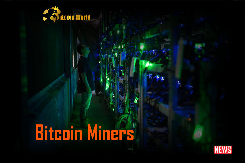 bitcoin miners