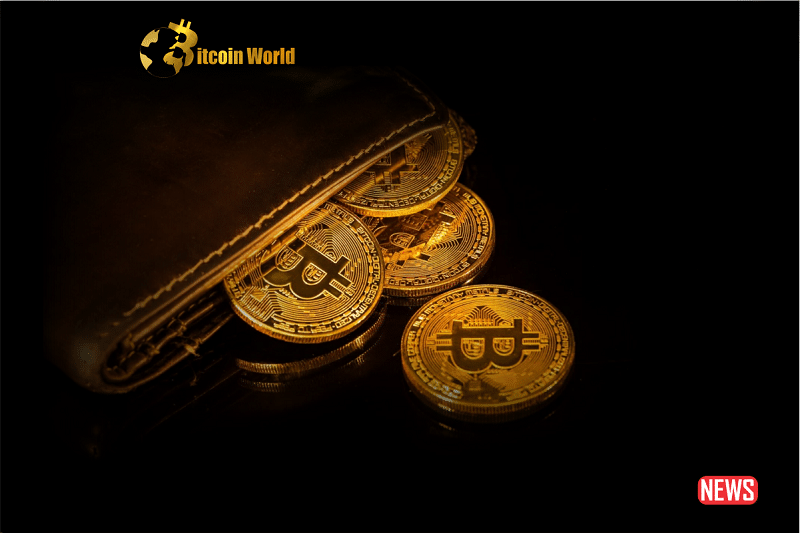 bitcoin outshining