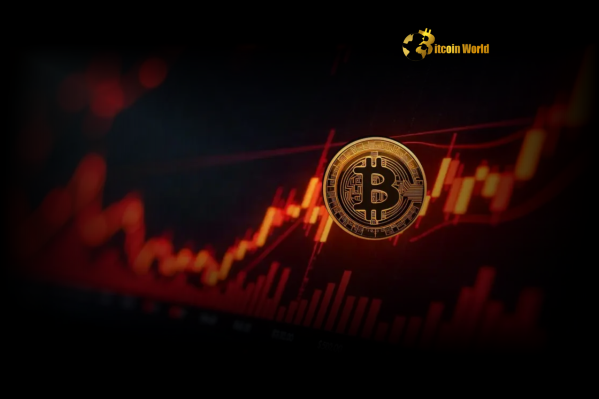Bitcoin Plunge BTC Falls Below $107,000 Amid Market Volatility