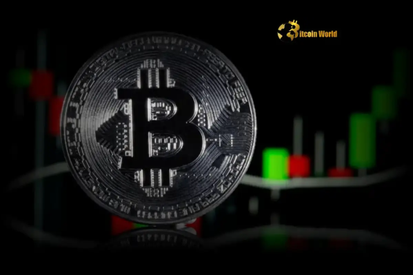 Bitcoin Price Prediction Willy Woo Issues Critical Bearish Divergence Warning