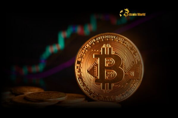 Bitcoin Price Soars to New Peak: Is the Crypto Market Overheating?