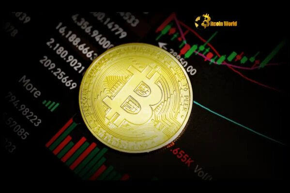 Bitcoin Price Urgent Warning Signs Flash After New All-Time High