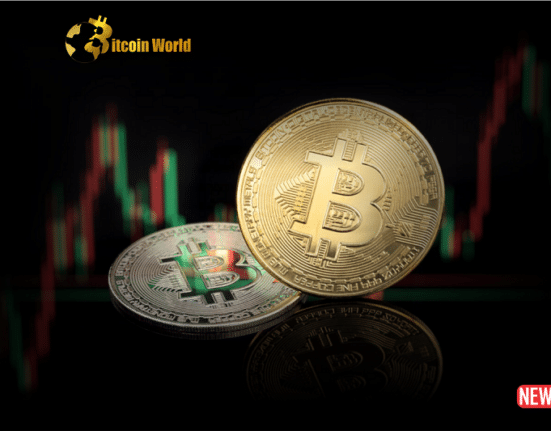 bitcoin rise 1