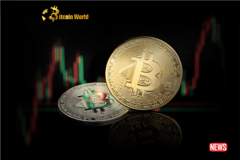 bitcoin rise 1