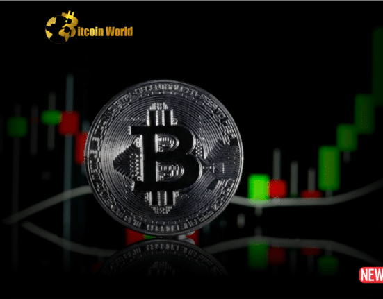 bitcoin rise