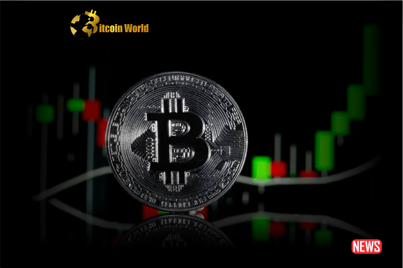 bitcoin rise