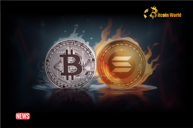 This Week in Coins: Bitcoin and Solana Jump, Rest of Crypto Market Rises
