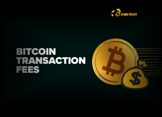 Bitcoin Transaction Fee Astonishing 1 BTC Paid in Single Transaction