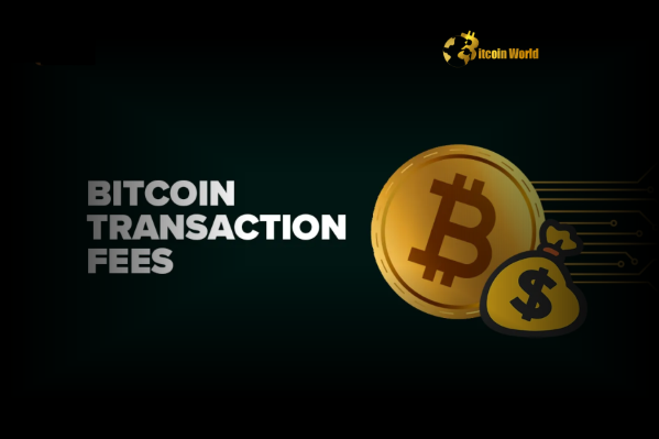 Bitcoin Transaction Fee Astonishing 1 BTC Paid in Single Transaction