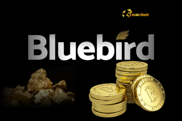 Bitcoin Treasury Strategy Bluebird Mining Makes Bold Shift Using Gold Revenue