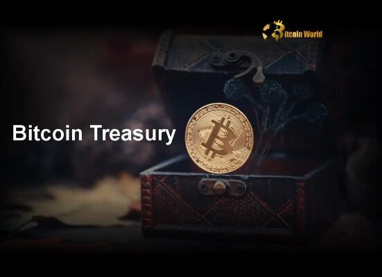 Bitcoin Treasury: The Strategic Imperative of Taking Calculated Risk