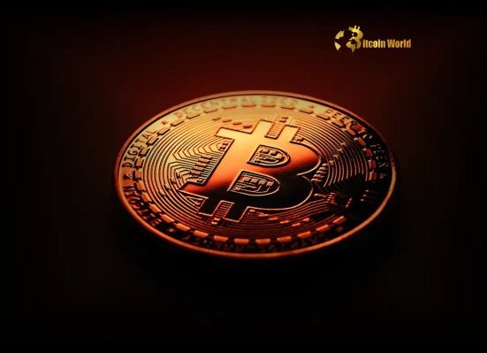 Bitcoin Warning Signals Point to Potential Price Correction After 7-Week Rally
