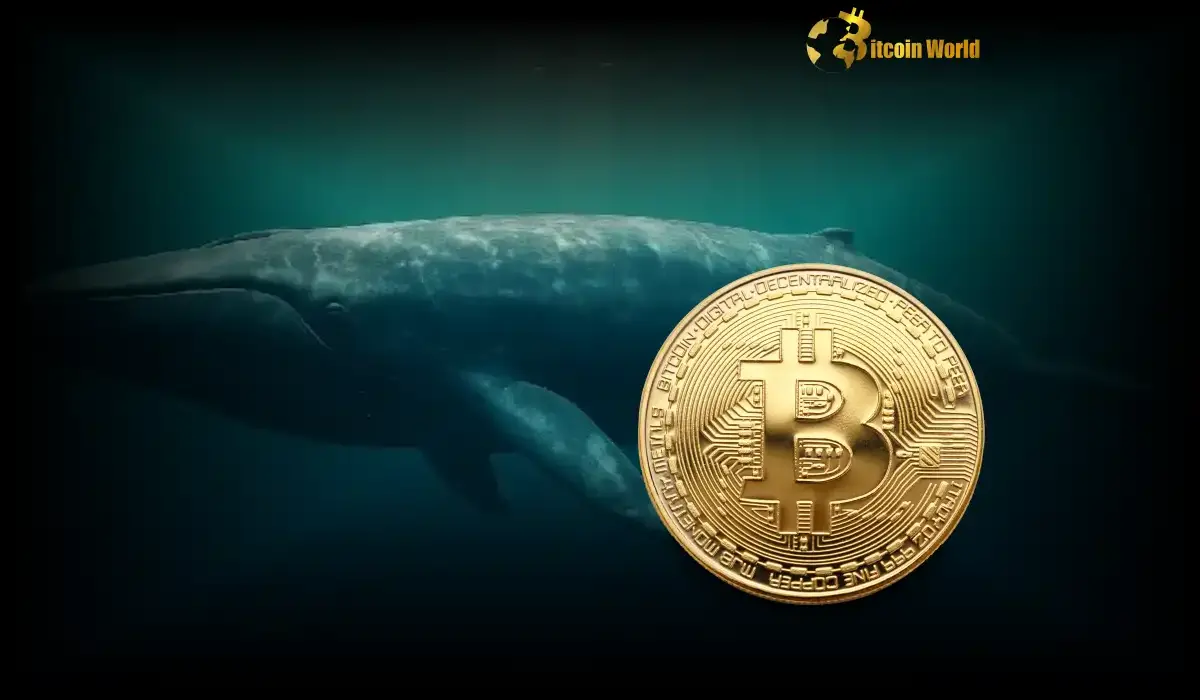 Bitcoin Whale James Wynn Achieves Stunning Victory in High-Stakes Hyperliquid Battle
