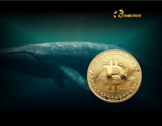 Bitcoin Whale James Wynn Achieves Stunning Victory in High-Stakes Hyperliquid Battle