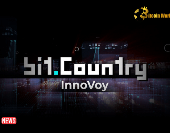 Polkadot Parachain BitCountry Allows Free Minting Of BitAvatar IDs