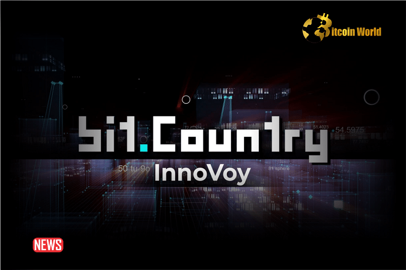 Polkadot Parachain BitCountry Allows Free Minting Of BitAvatar IDs