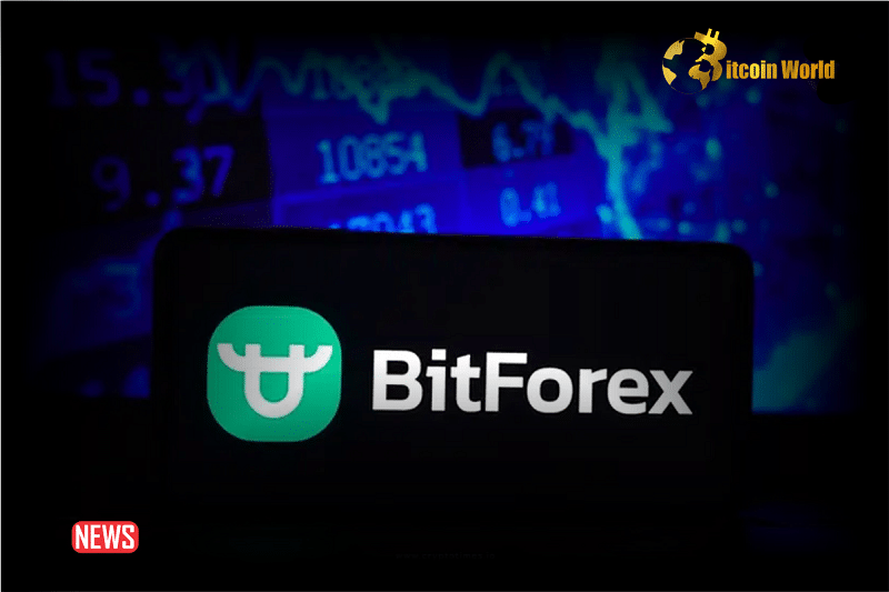 ZachXBT Has Spotted Suspicious Behavior On BitForex Crypto Exchange