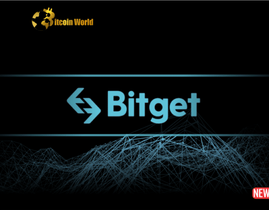 bitget b