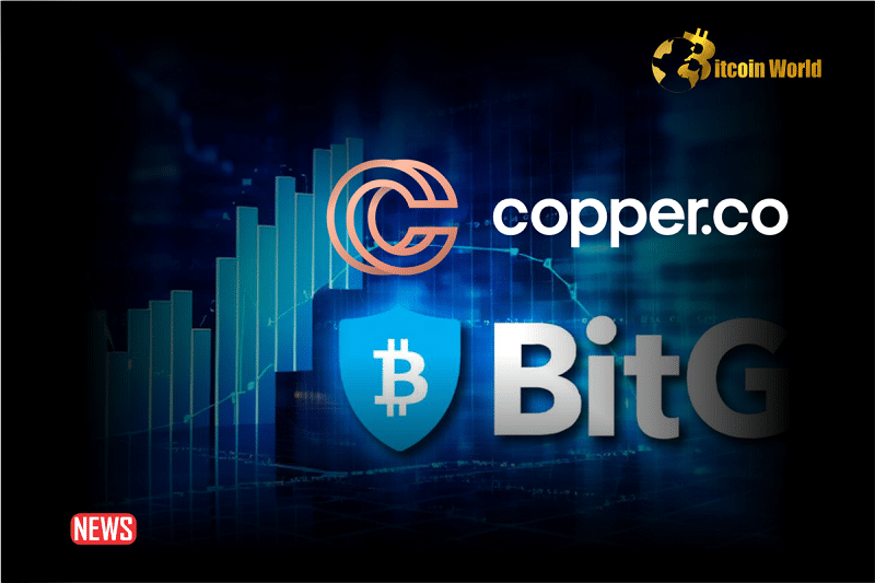 BitGo and Copper Combine Crypto Custody Settlement Networks