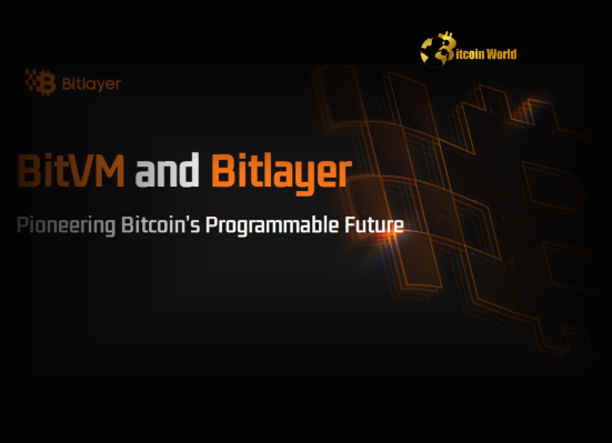 Bitlayer Accelerates BitVM Adoption Through Powerful Mining Pool Partnerships