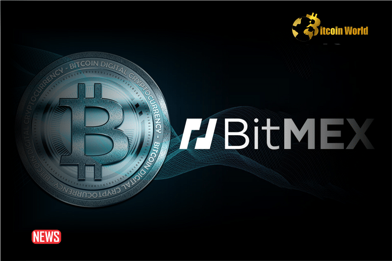 Why Is BitMEX Accumulating Bitcoin Using A 'Mysterious' Wallet Address?