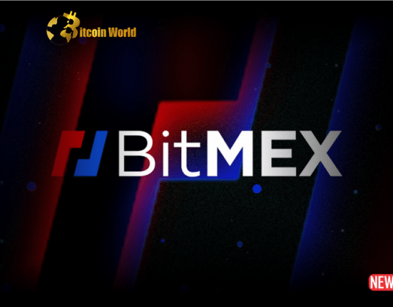 bitmex ceo