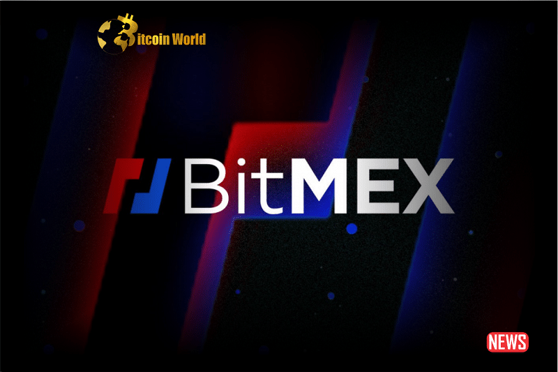 bitmex ceo