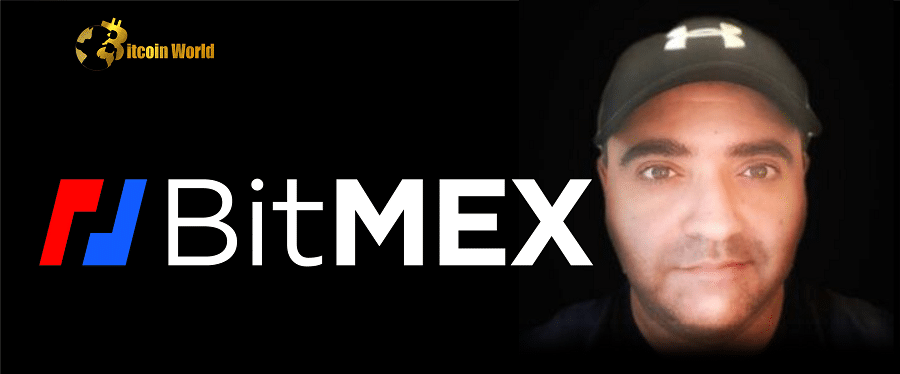 BitMEX Co-Founder Explains Where He Is Putting His Money During This Crypto Winter