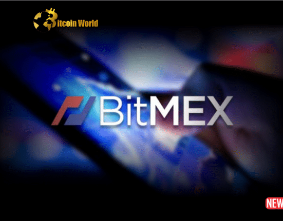 bitmex meme