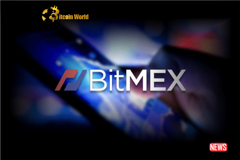 bitmex meme
