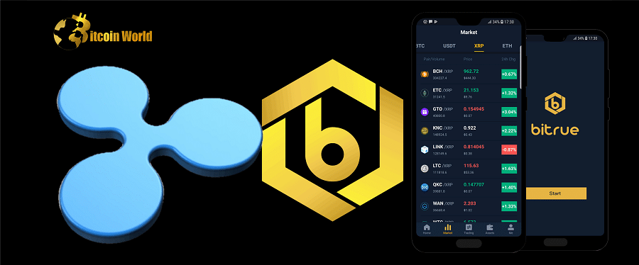 XRP: Bitrue Chief Strategy Officer Comments on Ripple Partnership