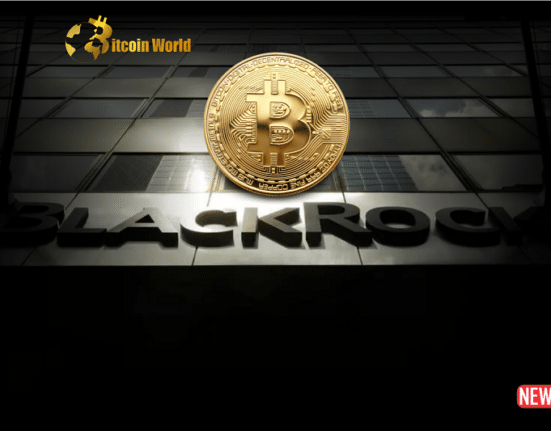 blackrock 1 1