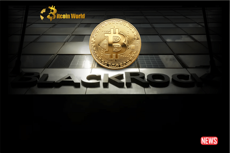 blackrock 1 1
