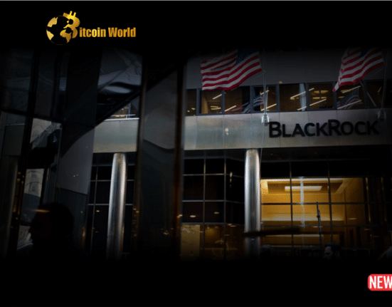 blackrock 1 3