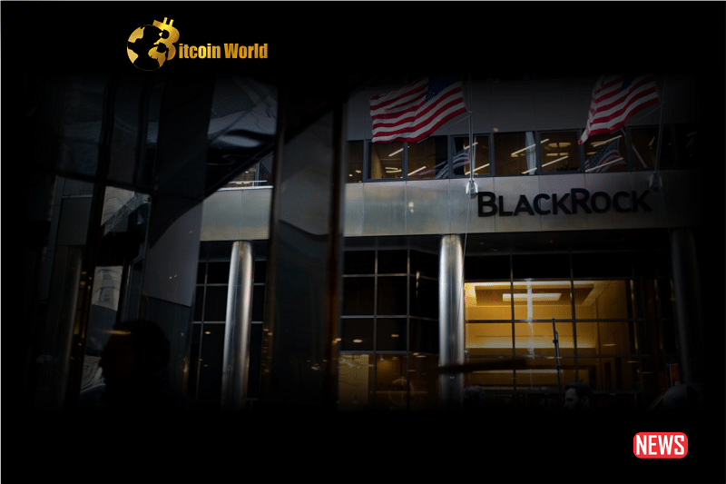 blackrock 1 3