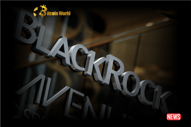 blackrock 3
