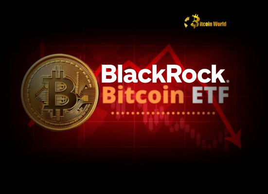 BlackRock Bitcoin ETF: Alarming Bearish Shift in IBIT Options